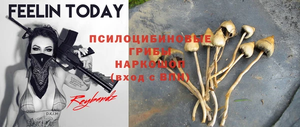 ПСИЛОЦИБИНОВЫЕ ГРИБЫ Уссурийск