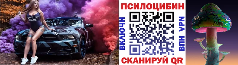 Галлюциногенные грибы Psilocybe  Тайшет 