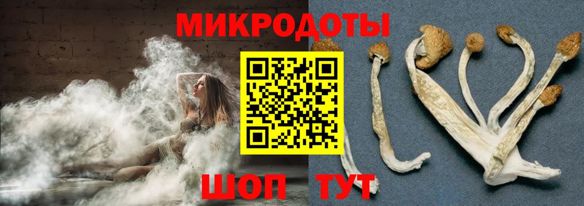 Галлюциногенные грибы Magic Shrooms Тайшет