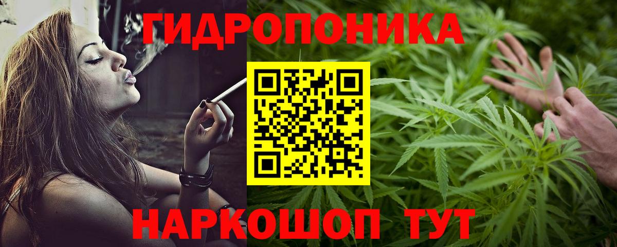 Бошки марихуана план  Канабис Ganja  Тайшет  Вход с VPN 